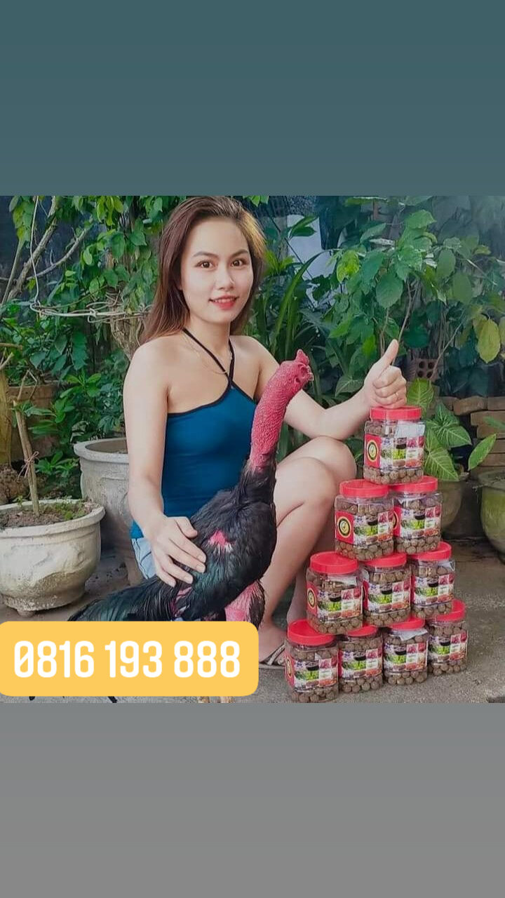 Mồi rắn cóc tổng hợp cho gà chọi
