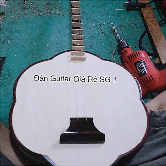 [HCM]Đàn sến thường