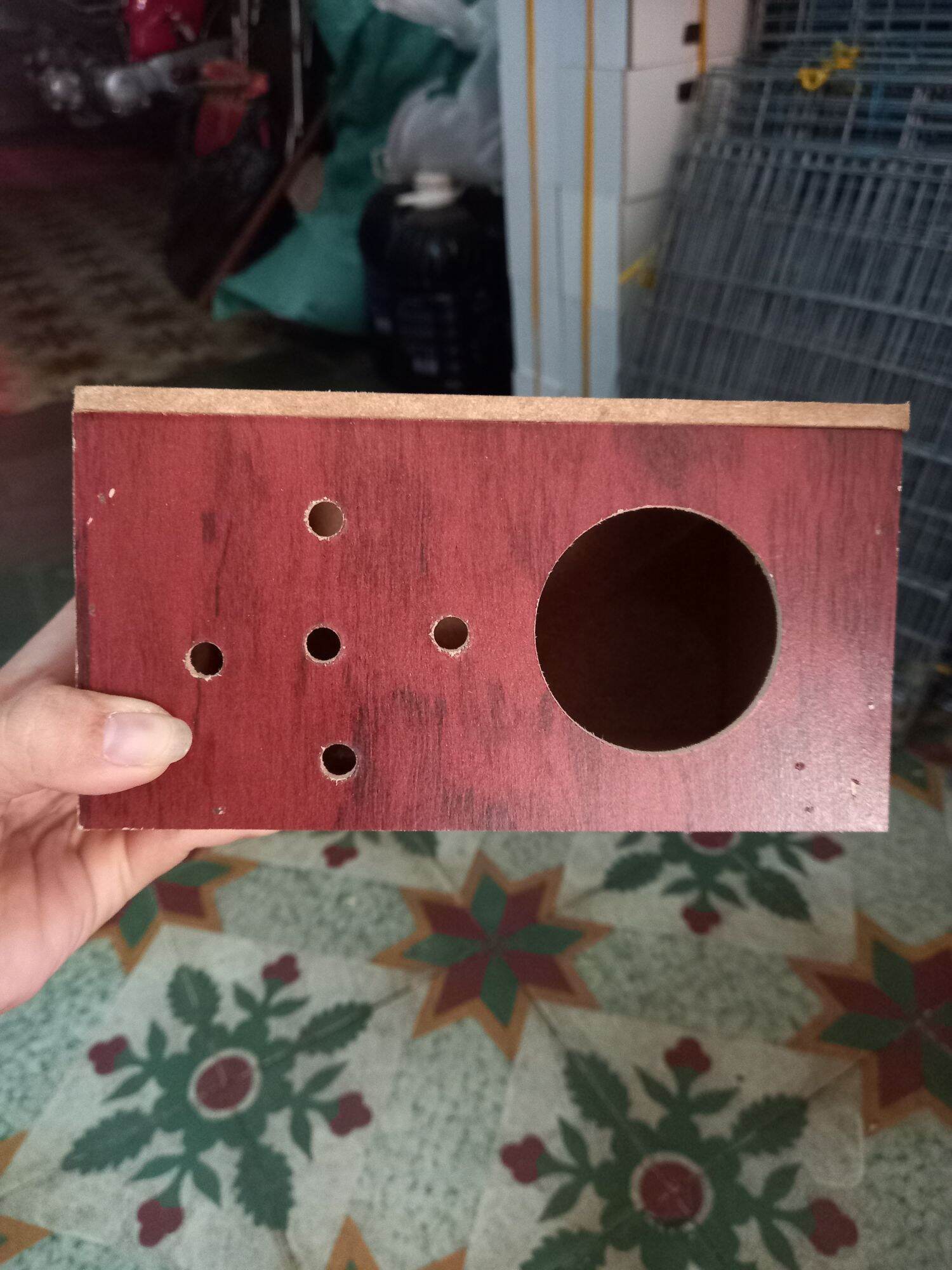 tổ ổ đẻ chim yến phụng