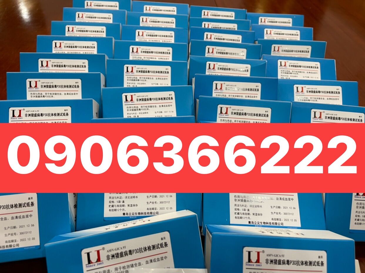 que thử (test ) nhanh dịch tả châu phi
