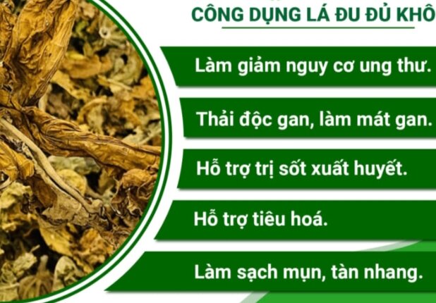 [500g] Lá đu đủ đực khô