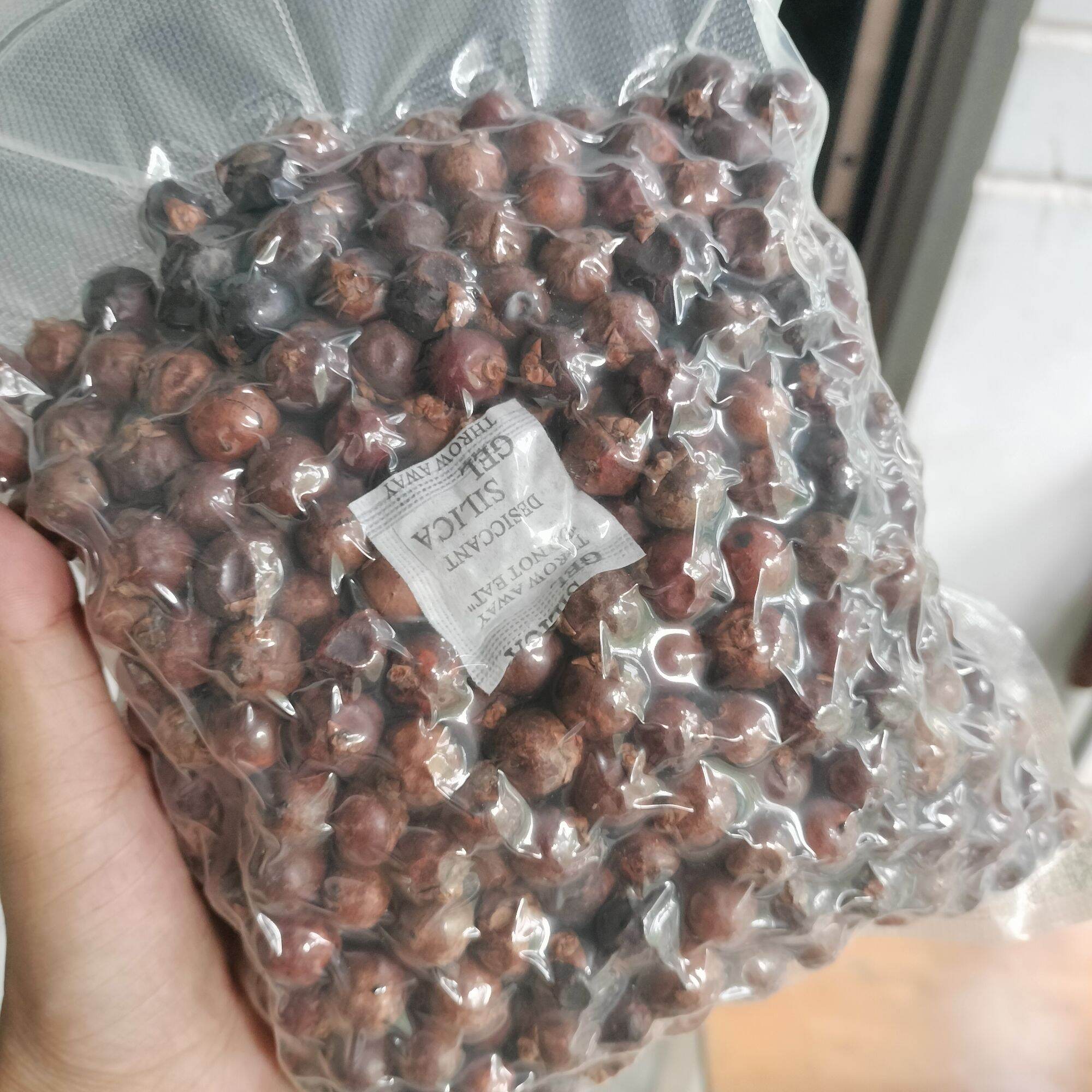 Đủng Đỉnh sấy khô/ tươi 1kg