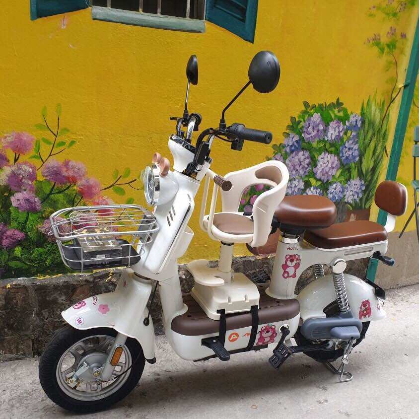Xe Đạp Điện Mẫu Mới sẵn hàng