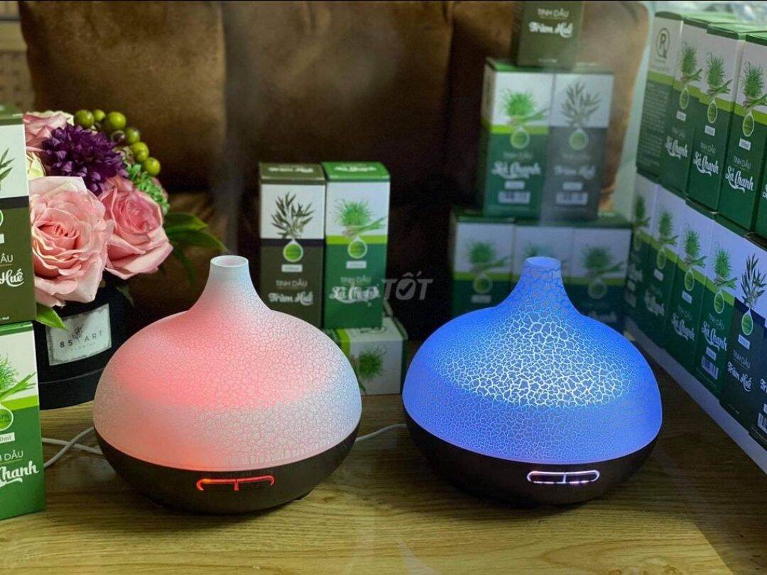 Máy Xông Tinh Dầu Bí Cổ Cao Vân Trứng