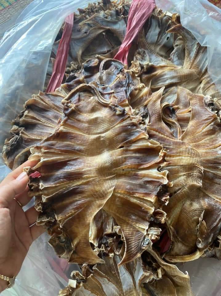 500GR KHÔ CÁ ĐUỐI XẺ CÀ MAU