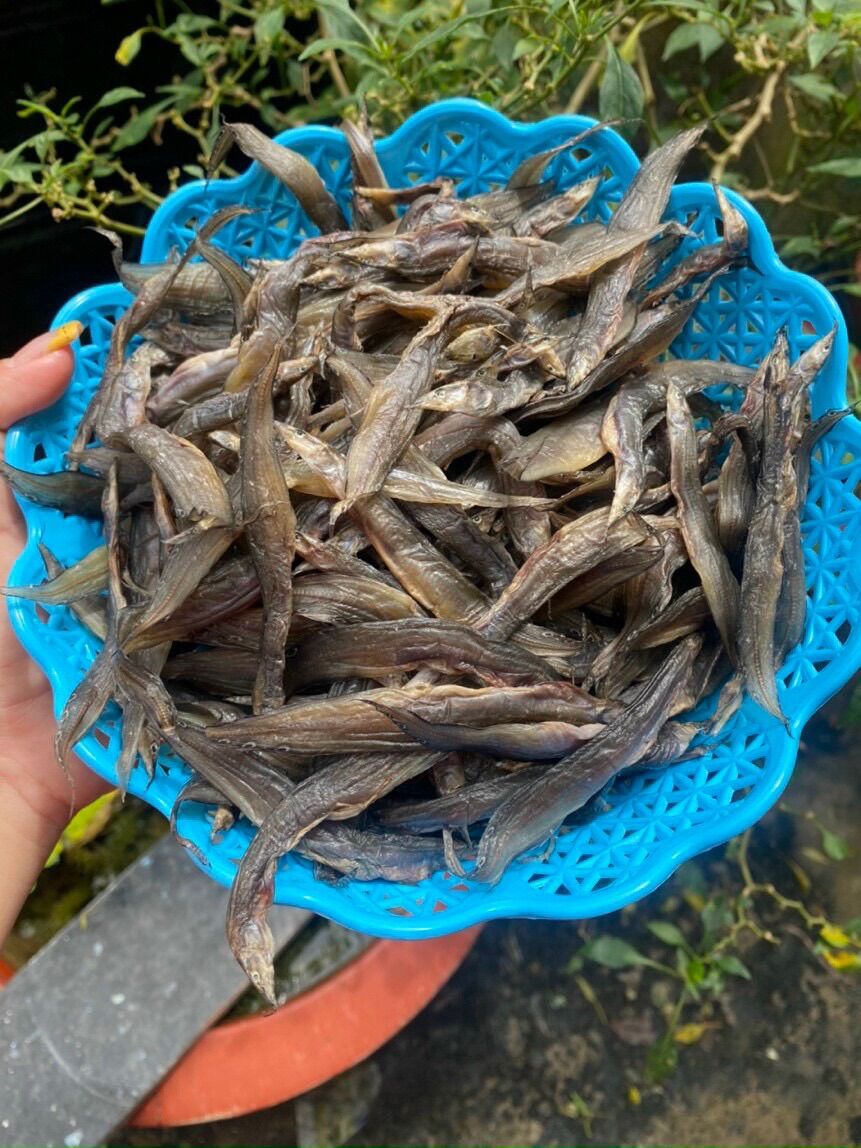 Khô Chạch Kim Sông Tự Nhiên
