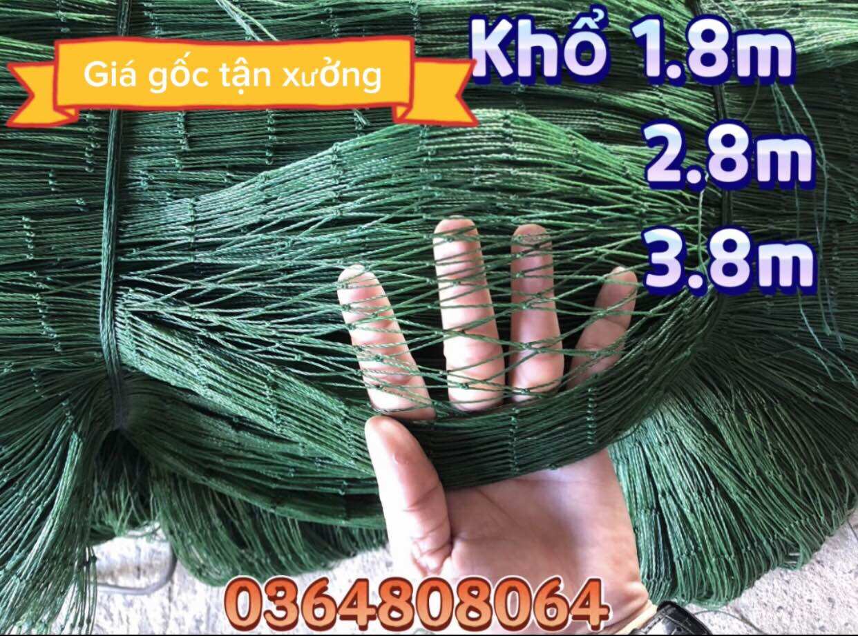 Combo 1 cuộn dài 50m lưới rào gà, rào vịt, rào vườn leo màu xanh rêu khổ rộng tuỳ ý
