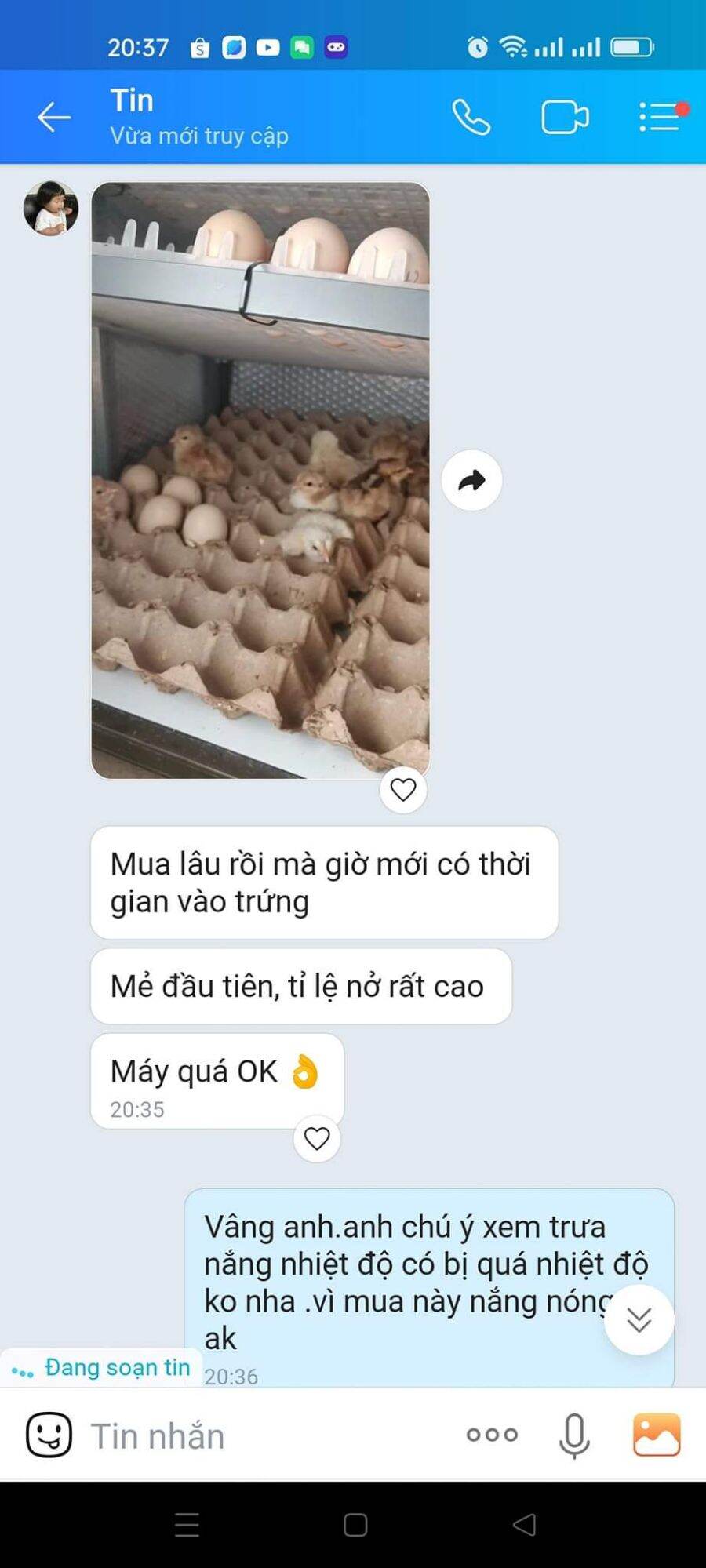 máy ấp trứng| máy 200 trứng Tự Động