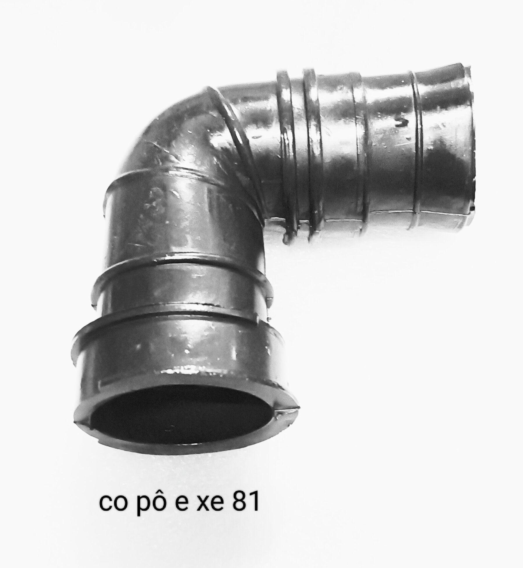 Co pô e xe 67 - 81 x 1 cái...