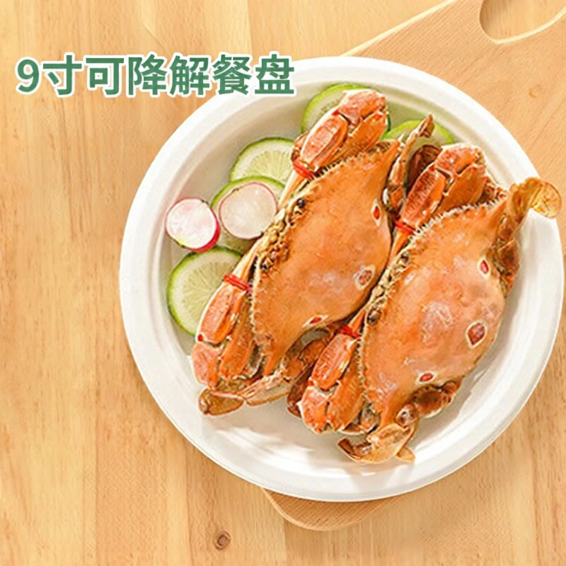 Đĩa Giấy Dùng Một Lần Chống Nước và Dầu 9 Inch 30 Cái