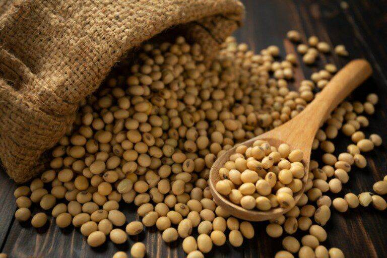 Đậu nành loại 1 - gói 1kg