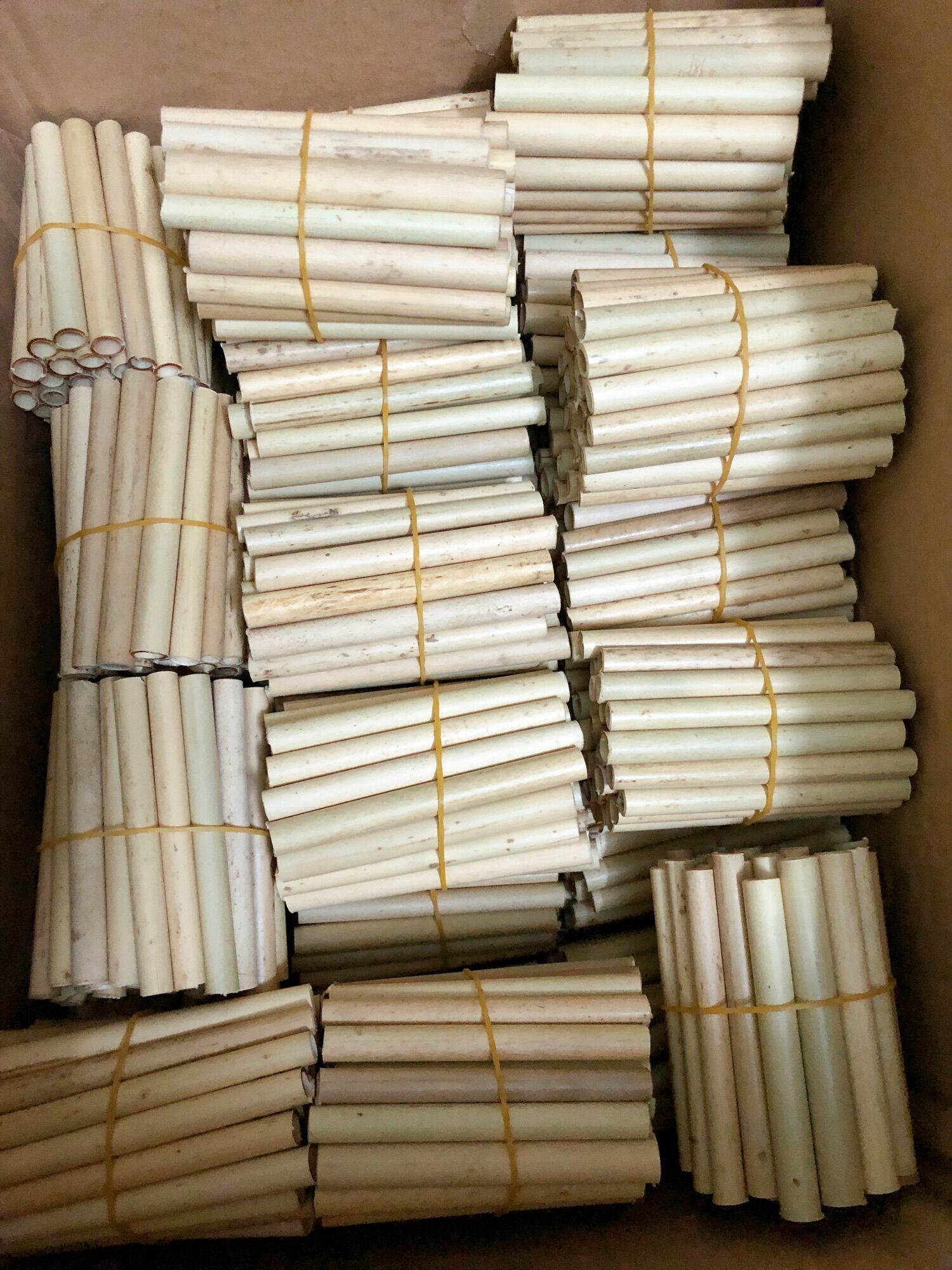 50 ống tre làm handmade