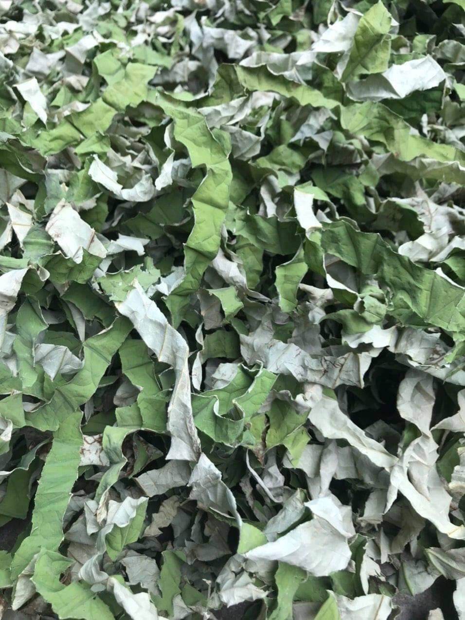 Lá sen khô giảm cân giảm mỡ 1kg