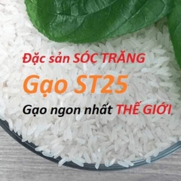 GẠO ST25 ( bịch 10kg )