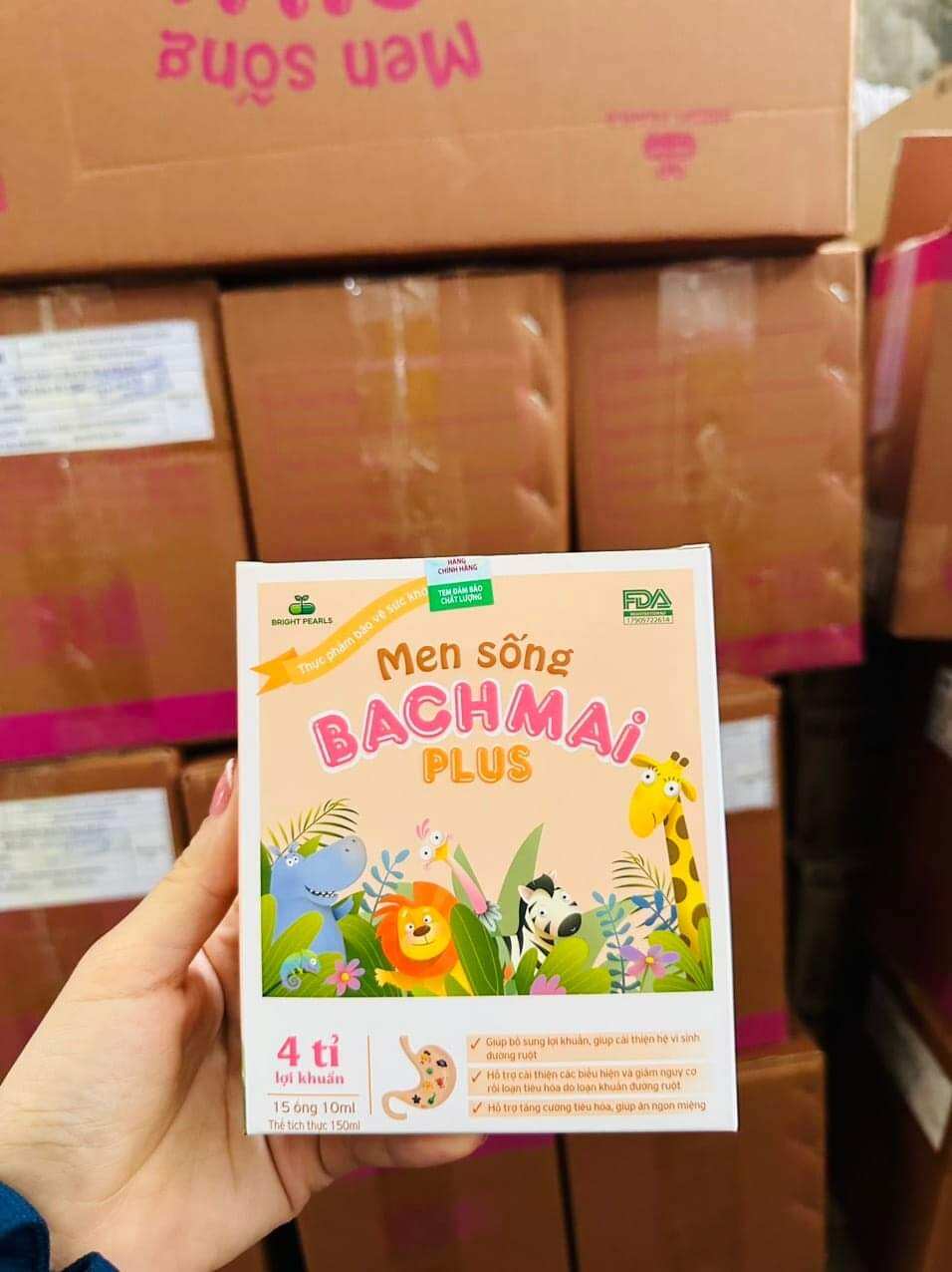 men sống bạch mai plus