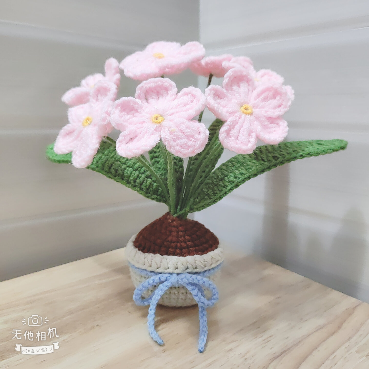 [Ảnh thật - Có sẵn] Chậu hoa lưu ly để bàn bằng len handmade
