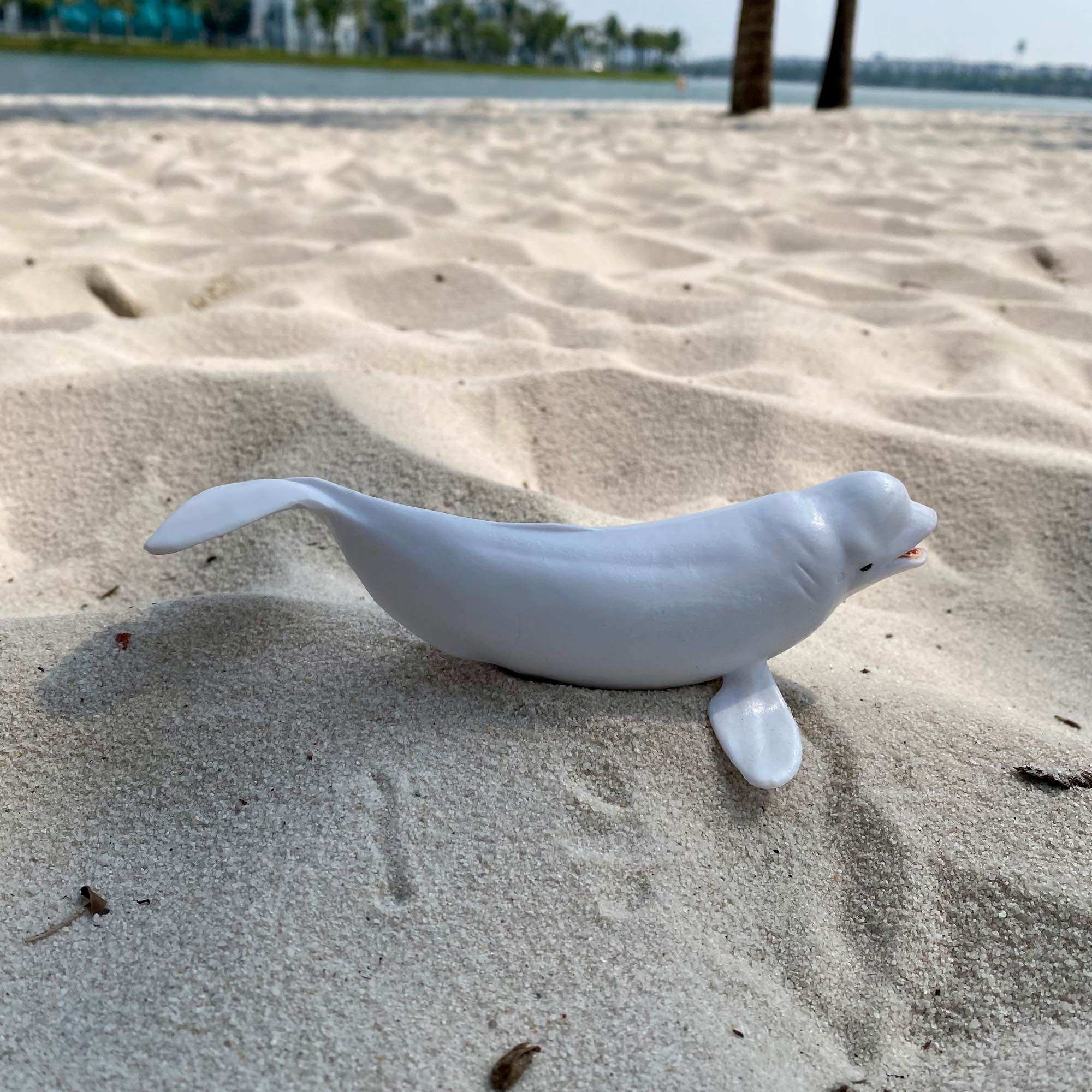 Mô hình động vật con cá voi trắng cá heo trắng Beluga
