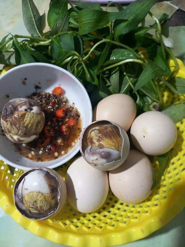 hột gà ác lộn có thể luộc hoặc xào me nấu lẩu