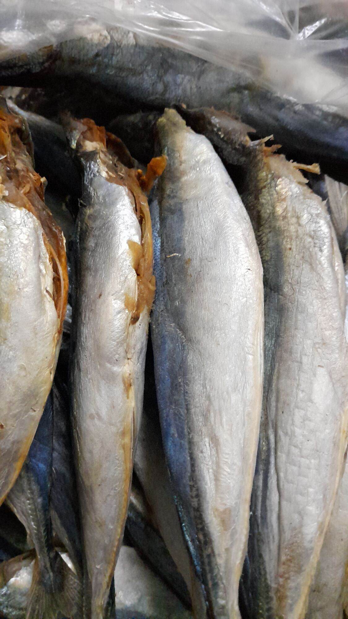 Khô cá nục 500gr