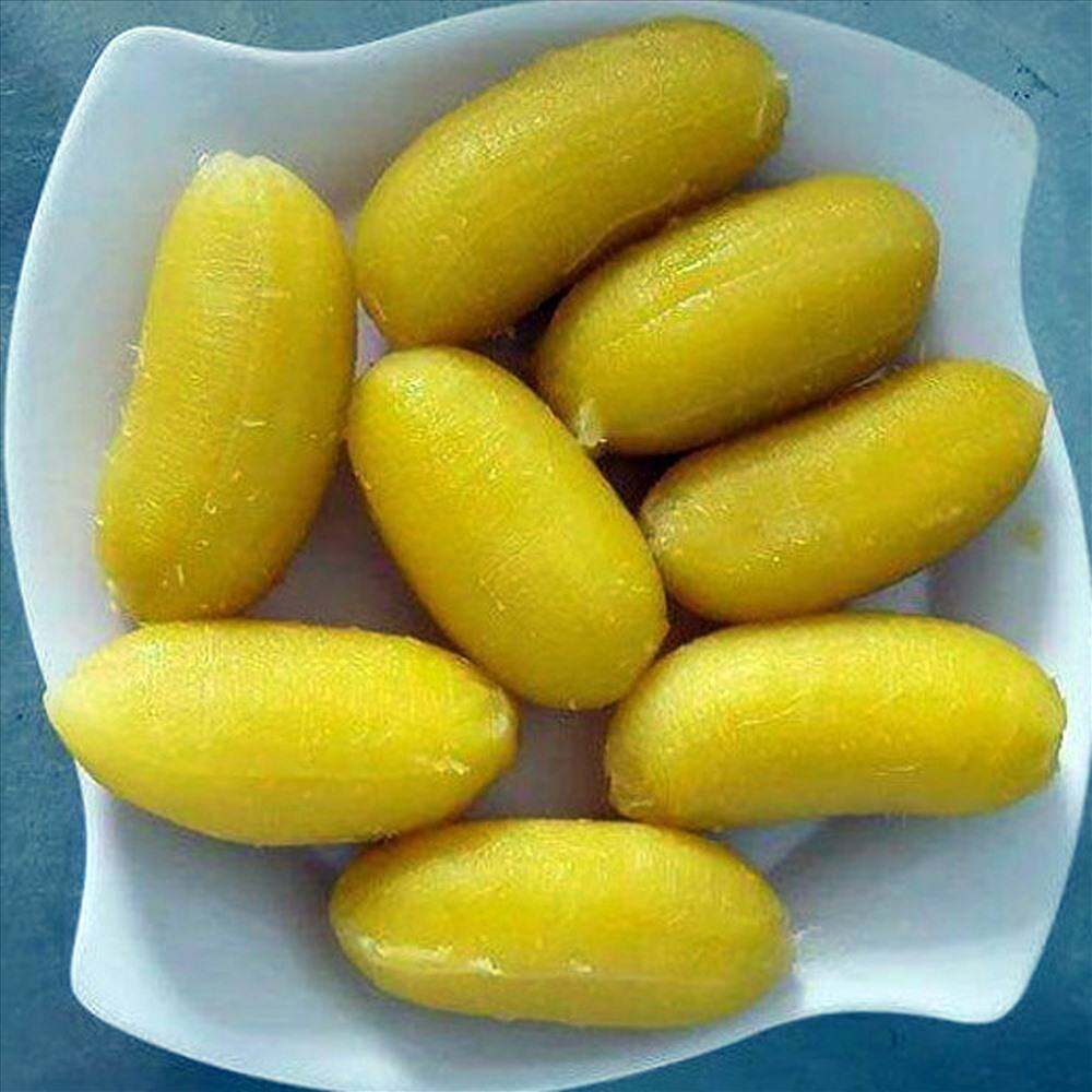 Chuối sáp Trà Vinh thơm dẻo cơm vàng-1Kg