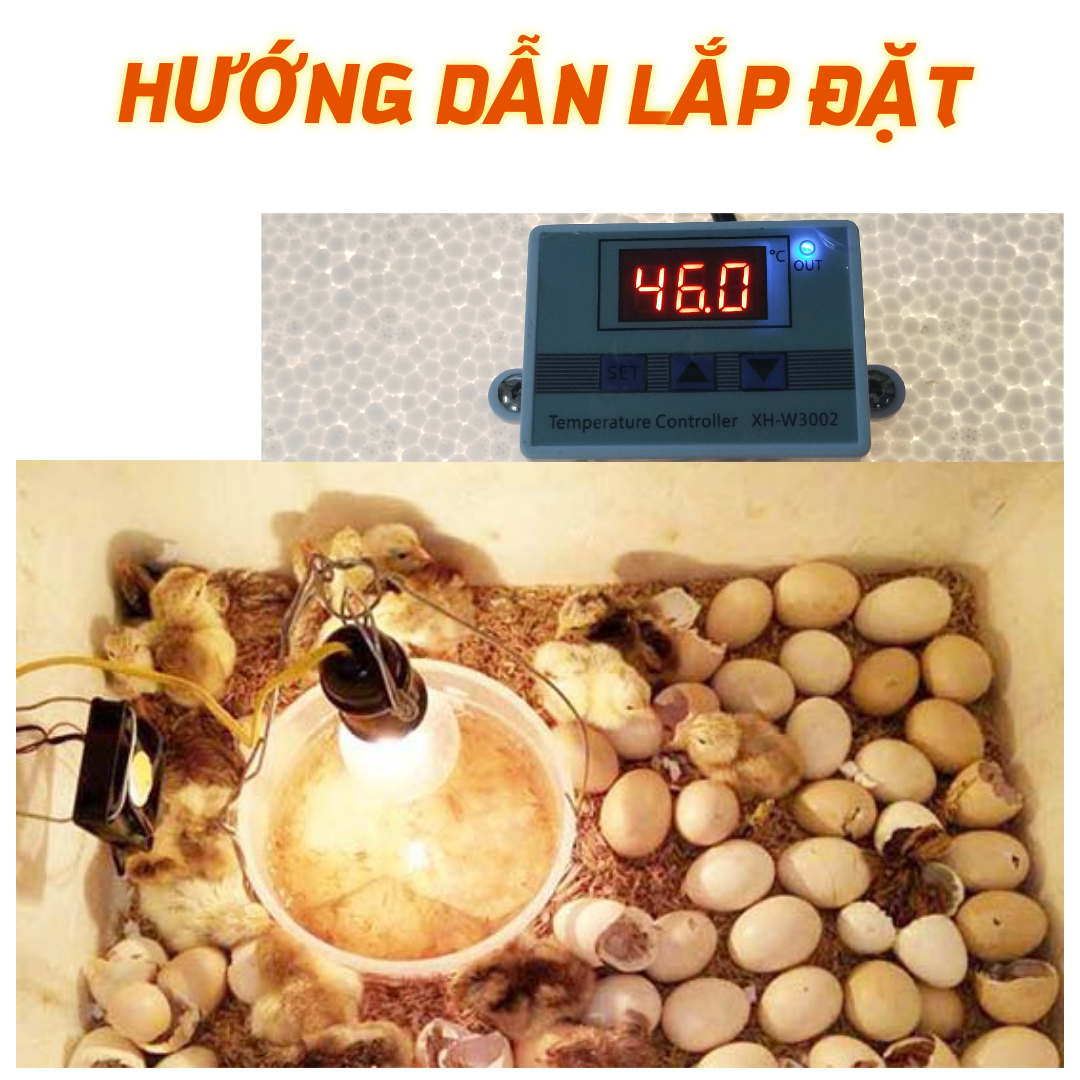 Máy ấp trứng mini Bảo Hành 2 Năm