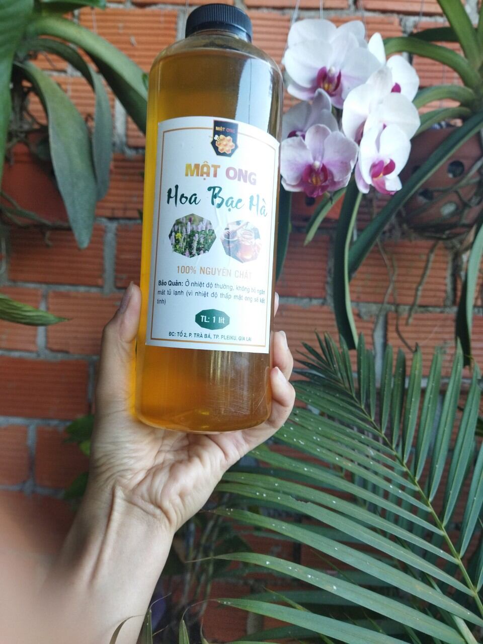 1 lít mật ong BẠC HÀ vàng chuẩn ngon