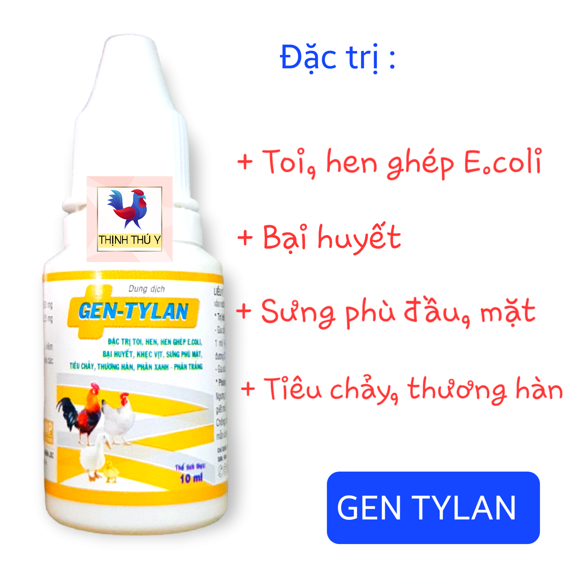 Anvet GEN TYLAN (10ml) - Đặc trị toi hen ghép E.coli, bại huyết, sưng phù mặt, thương hàn cho gà đá