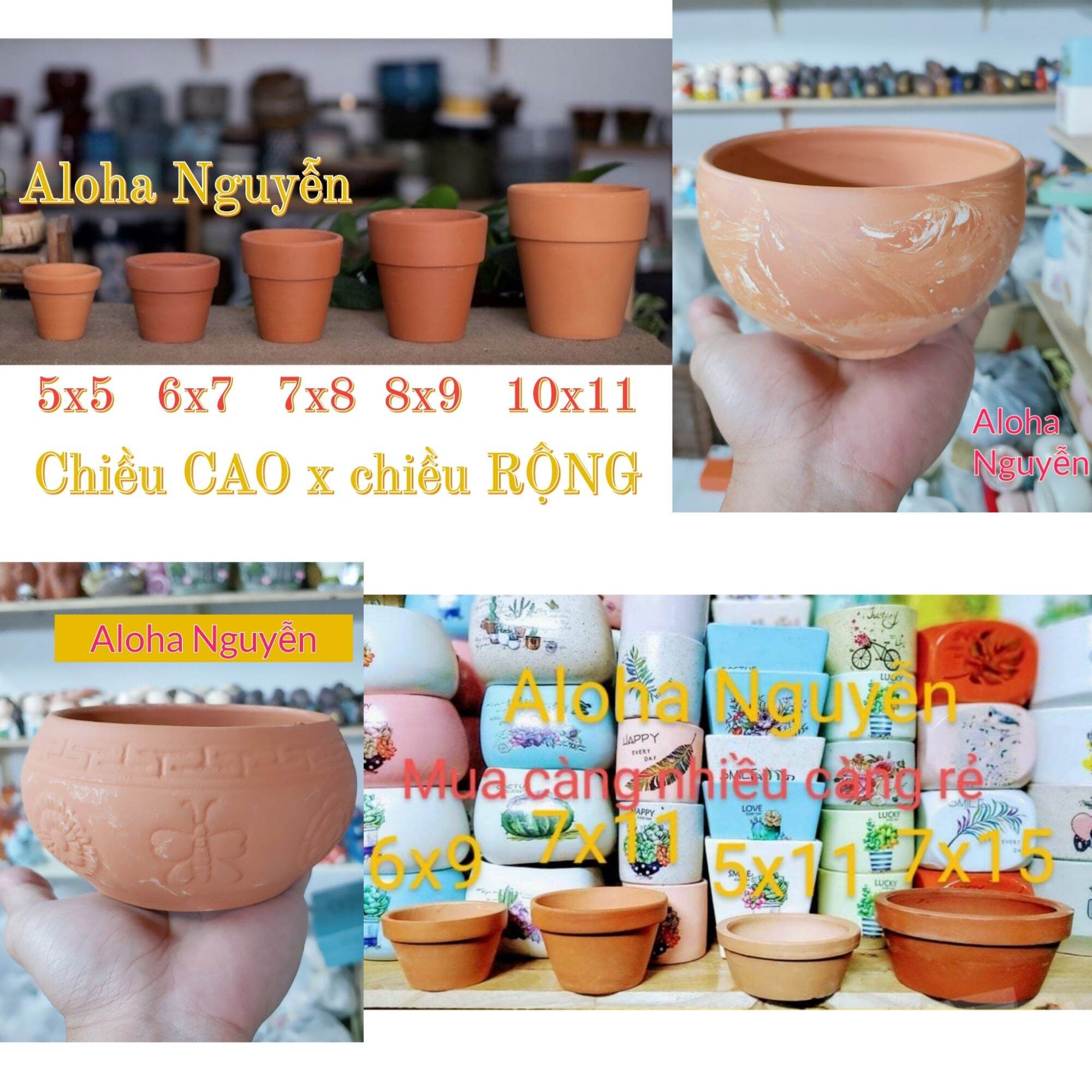 Chậu đất nung nâu trồng cây sen đá, xương rồng đủ kích thước.