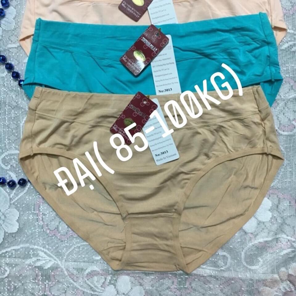 Set 5 Quần lót nữ Thịnh Phát size đại, quần lót cotton big size, chíp đại bự cao cấp