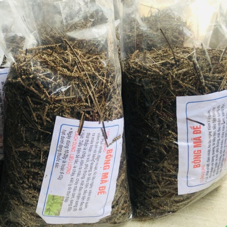 Bông mã đề ( xa tiền tử) thanh nhiệt 300g