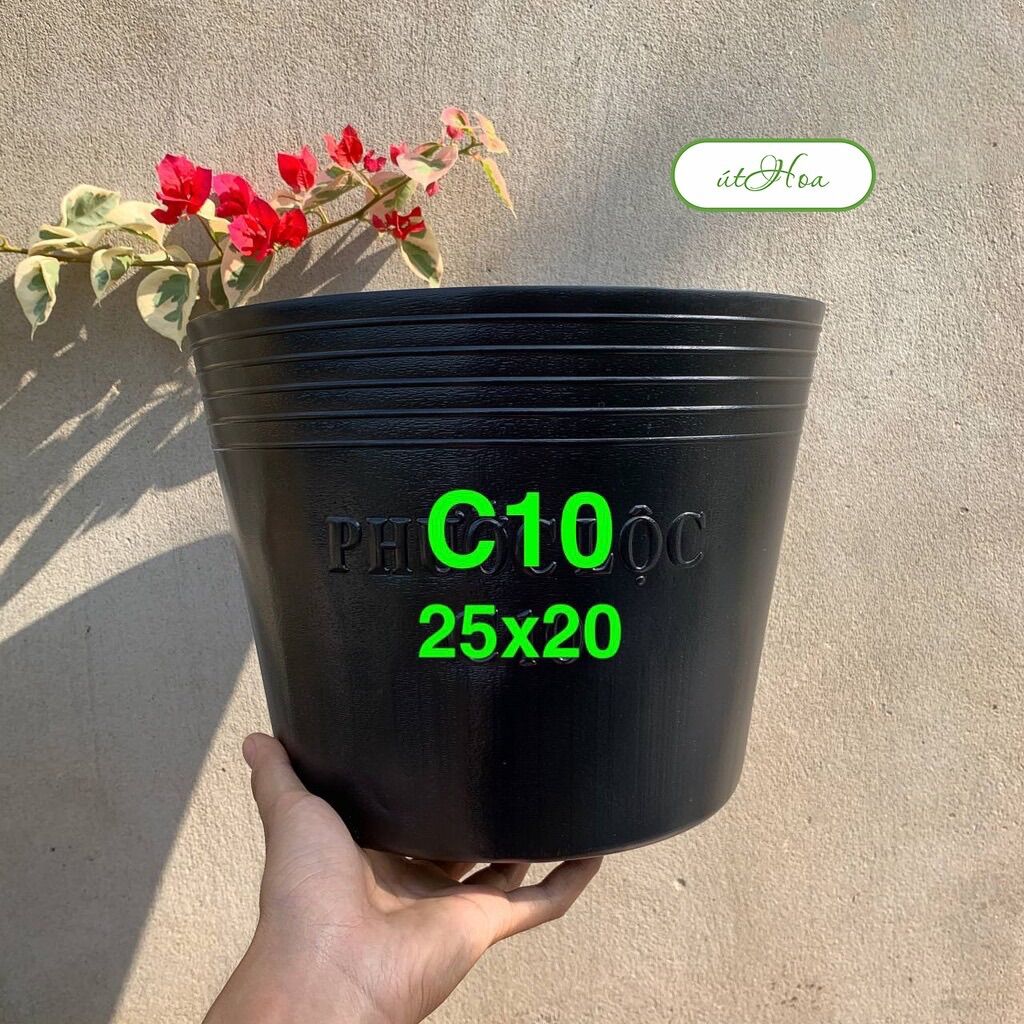 [Loại Dày] Chậu Nhựa Đen C10 (25X20 Cm) Trồng Cây, Trồng Hoa Kiểng