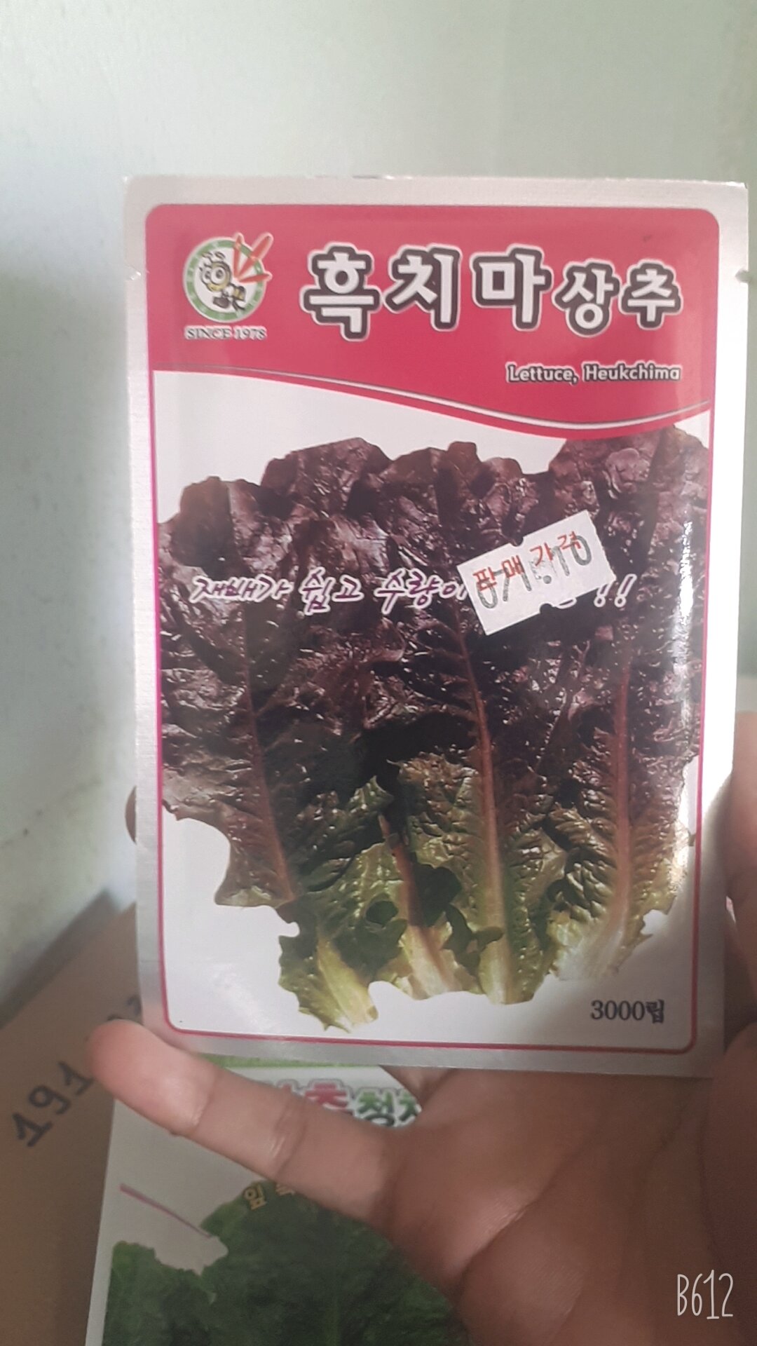 300 HẠT GIỐNG XÀ LÁCH YANGJU ĐỎ HÀN QUỐC ( HẠT TRẦN)