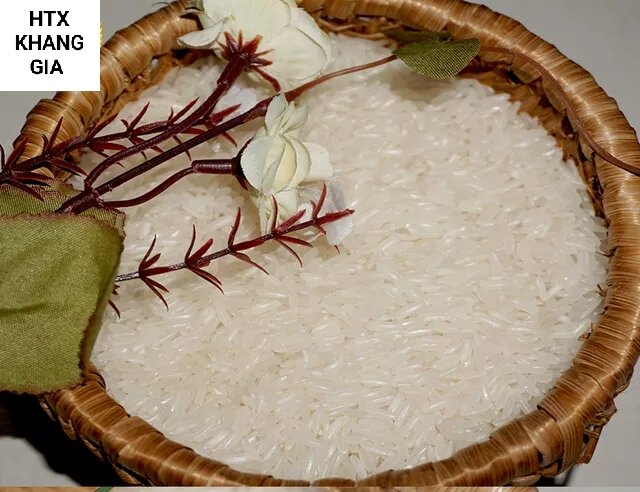 Hạt giống lúa Tám thơm Điện Biên túi 1kg