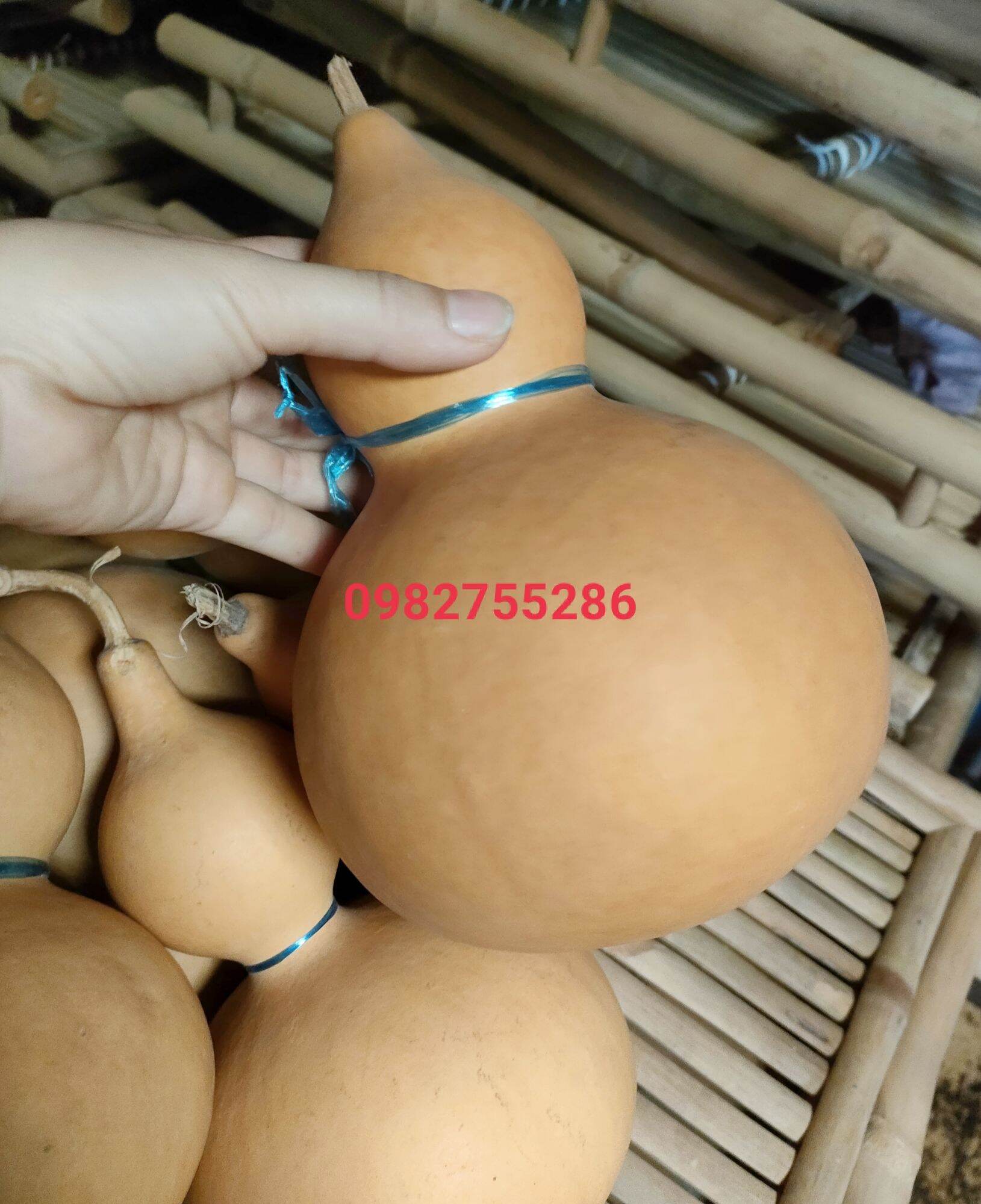 Bầu hồ lô
