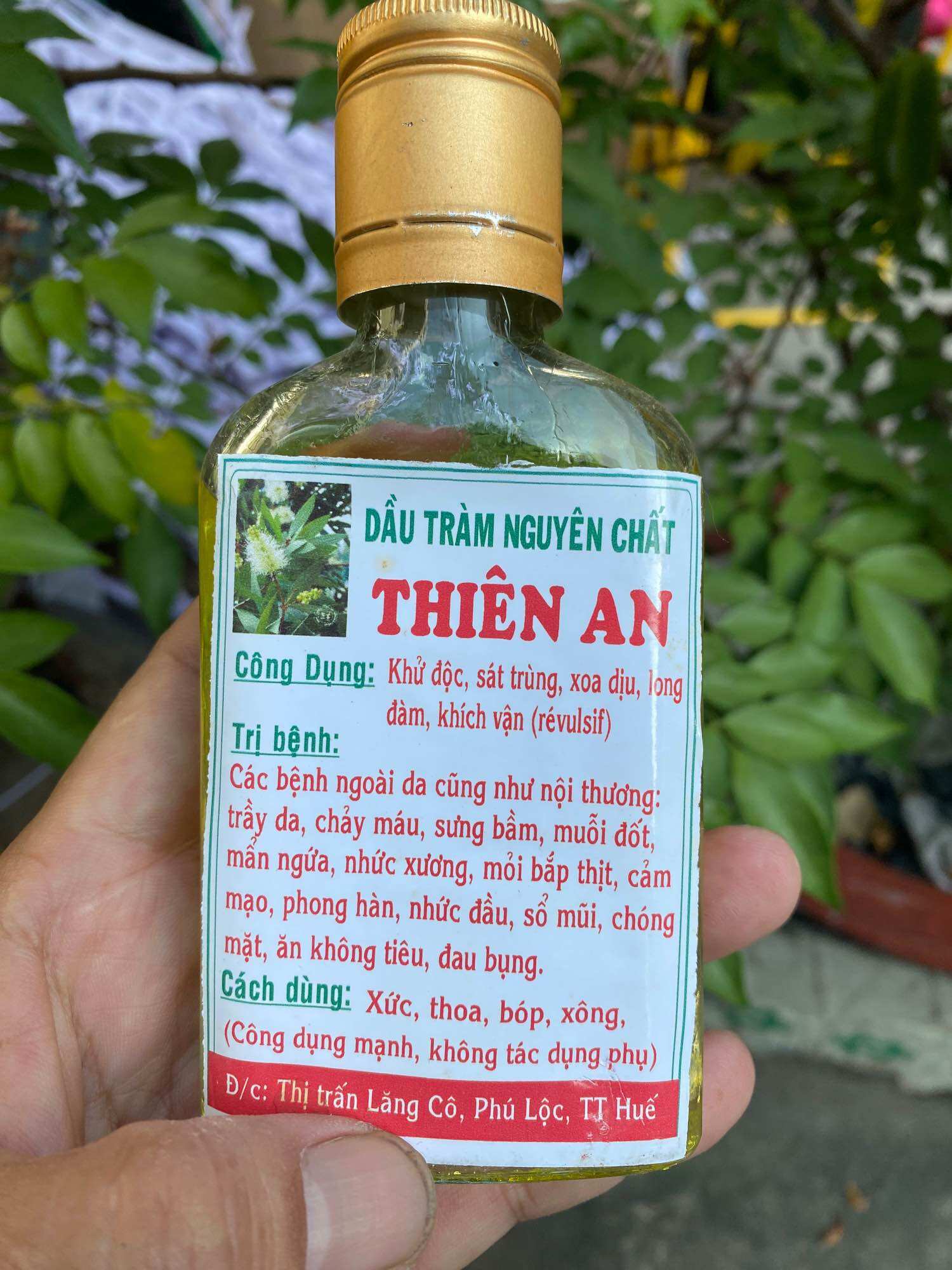 Dầu tràm huế nguyên chất Thiên An 100ml (giá gốc)