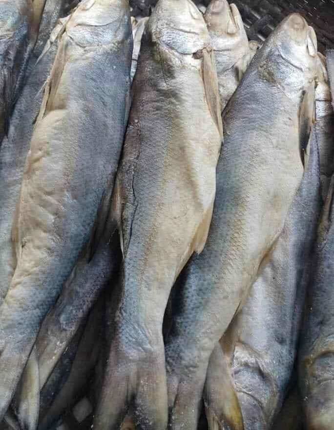 Cá chét muối dùi (khô cá chét)