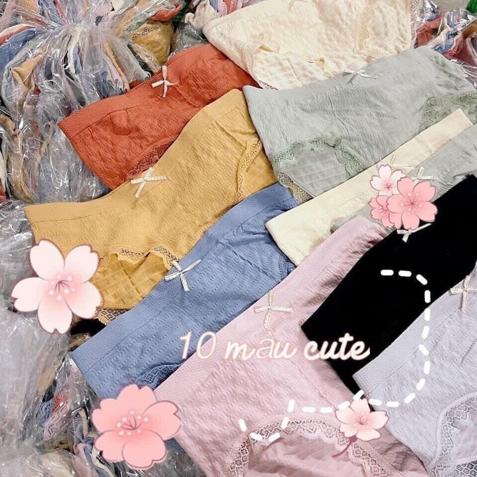 Quần chíp cotton dúm nơ siêu xinh