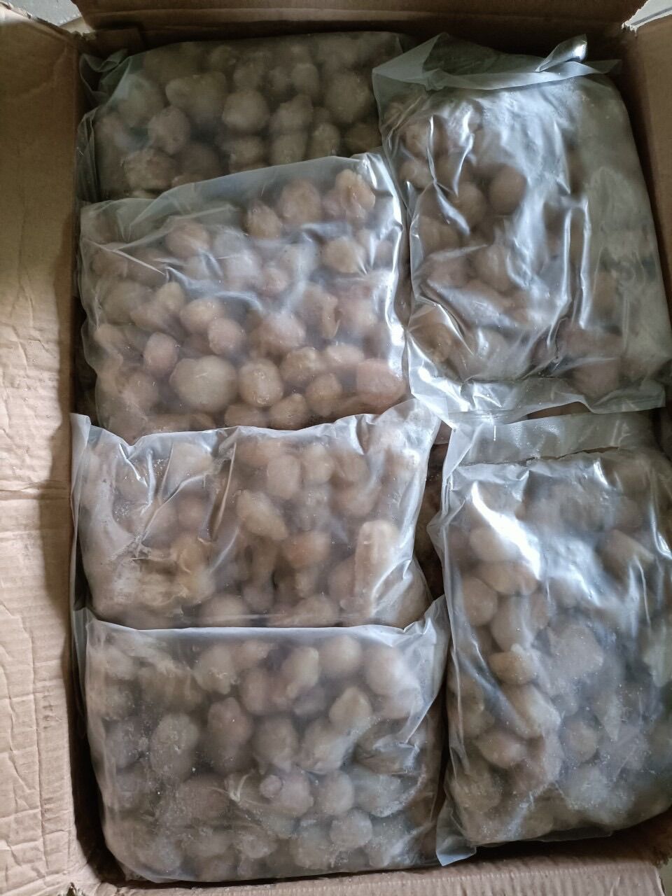1kg Răng Mực đại dương (size đại, net 7, giao hỏa tốc tphcm)