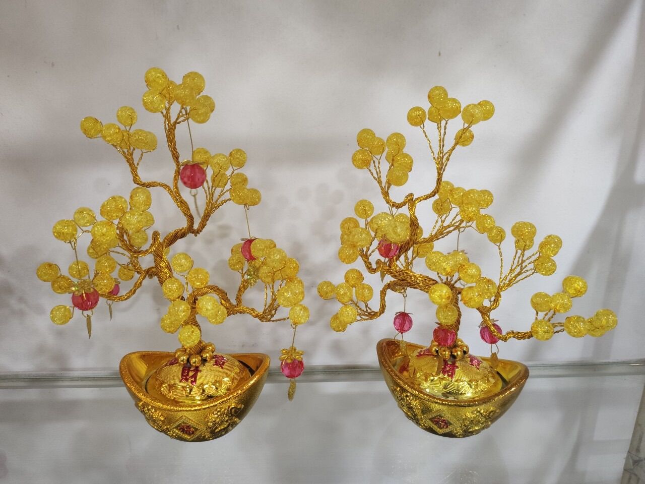 Cây kim tiền mini cao 16cm