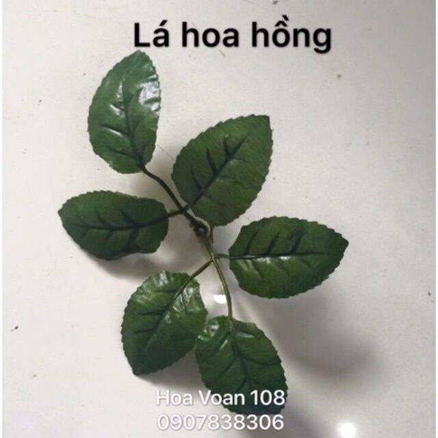 100 Gram Lá hoa hồng ,Lá lyly