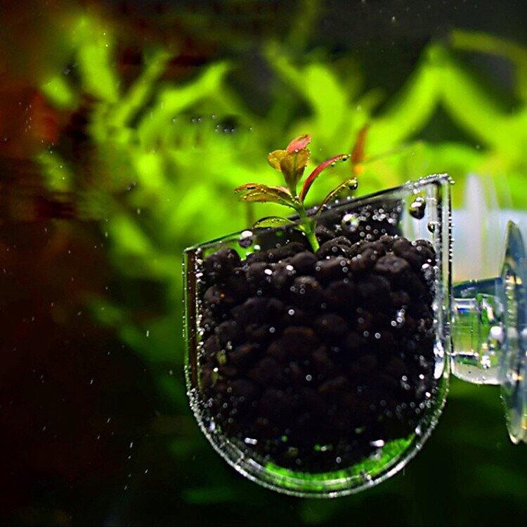 Cốc đựng trùn chỉ, cốc mica trồng cây mini.