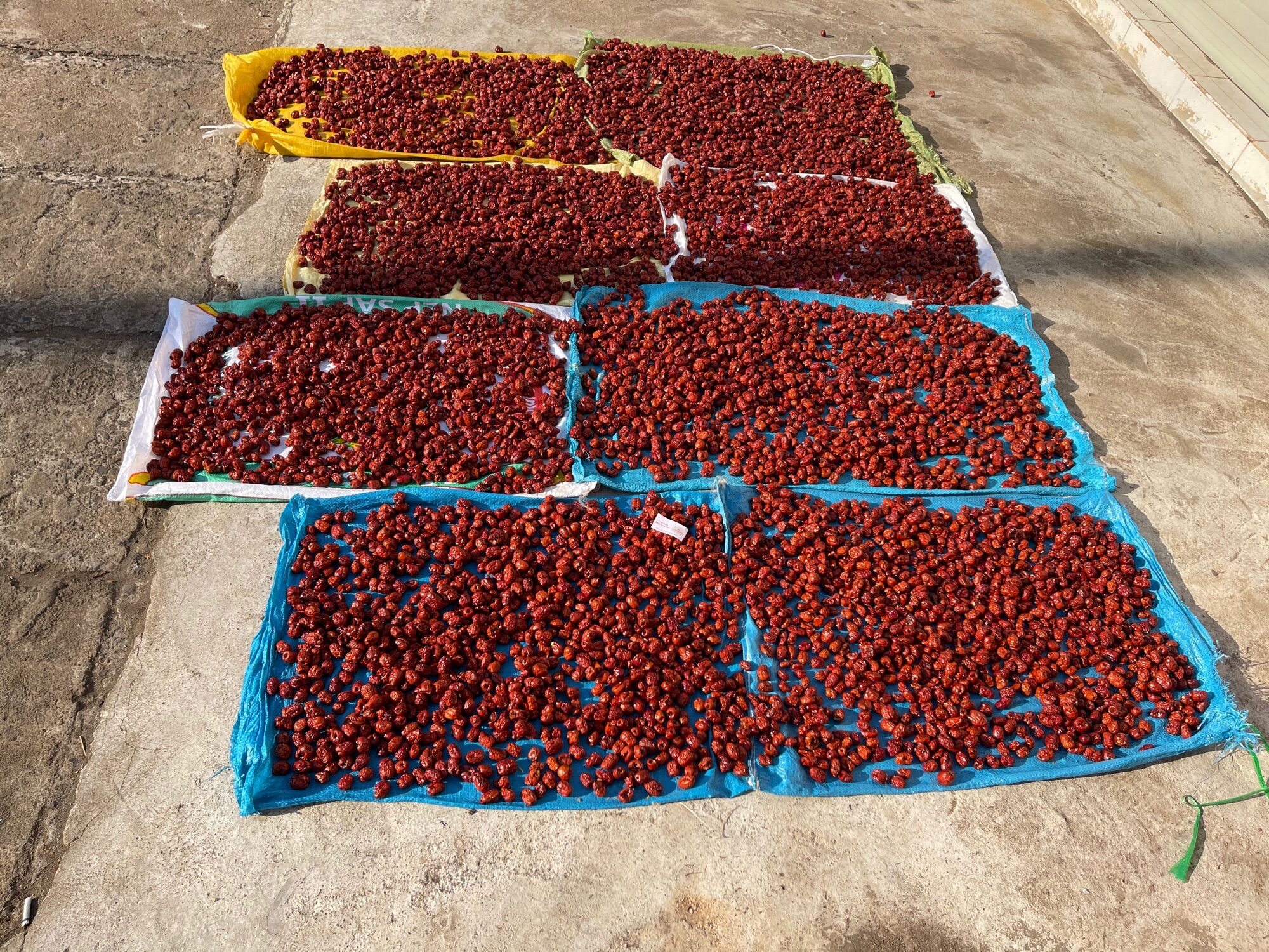 500gr táo đỏ tách hạt