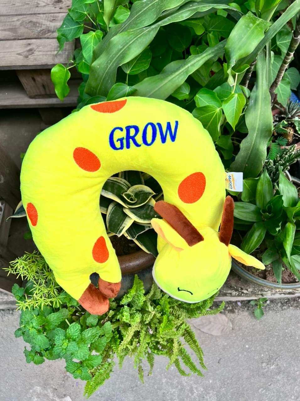 Gối cổ đi xe grow