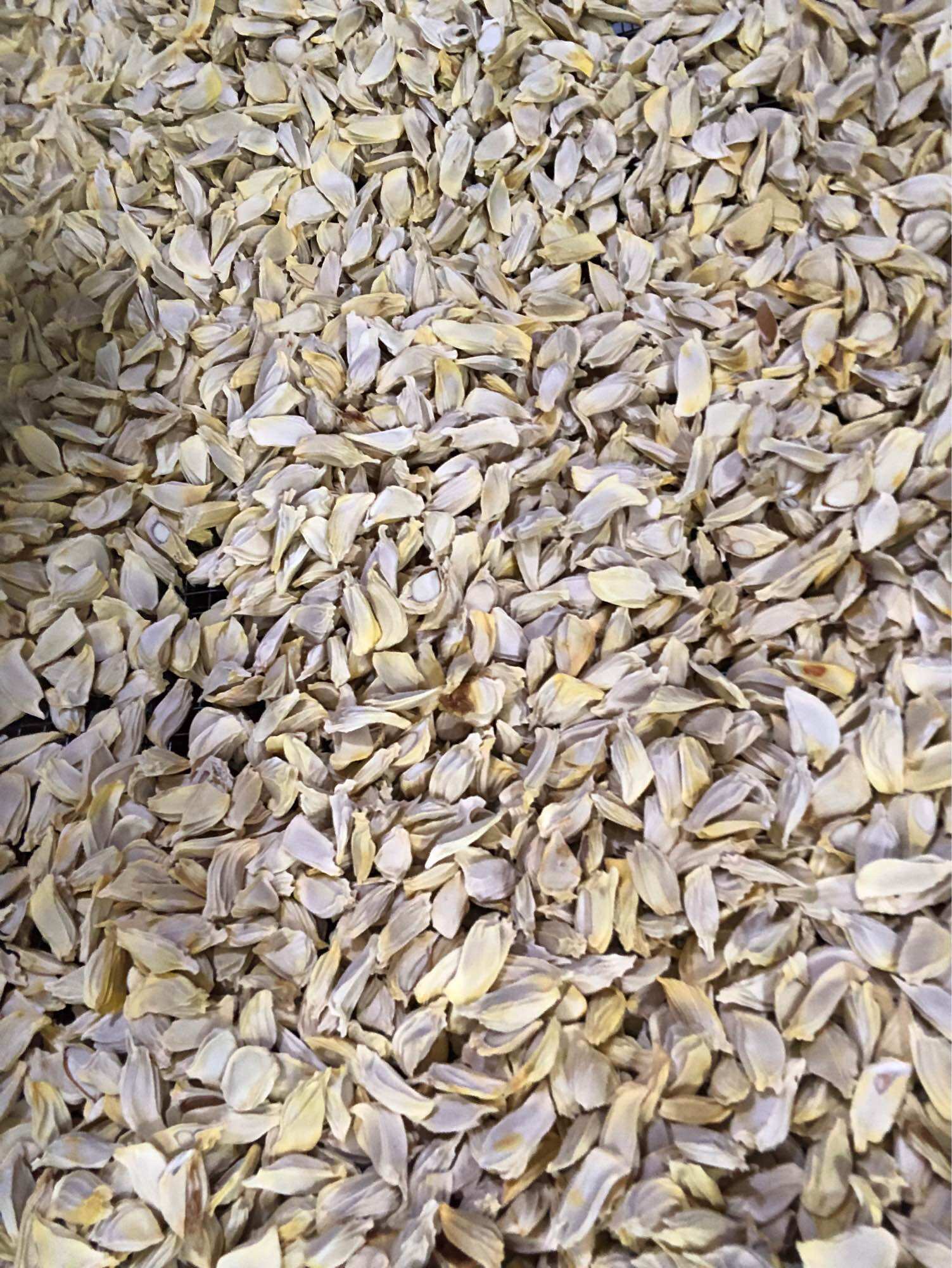 Trà hạt bưởi khô - 500gr