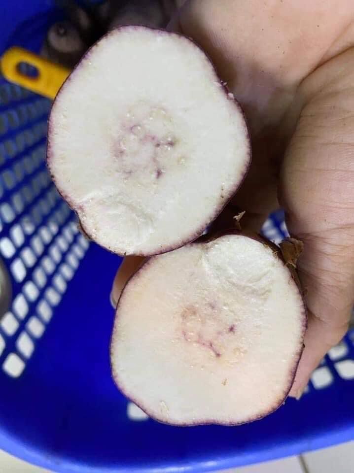 Combo 3kg Khoai lang dương ngọc