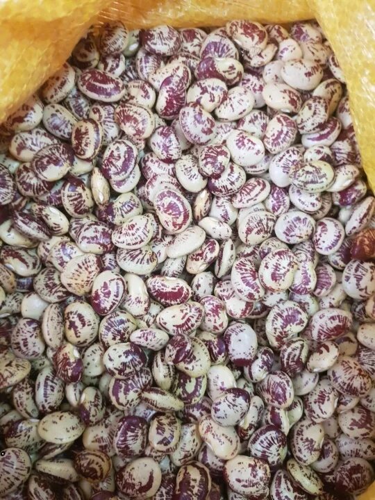 500 gr đậu ngự loại 1