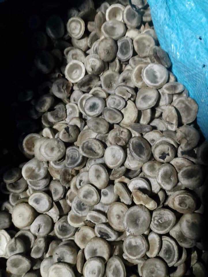 100g hạt mã tiền đen chuẩn loại 1