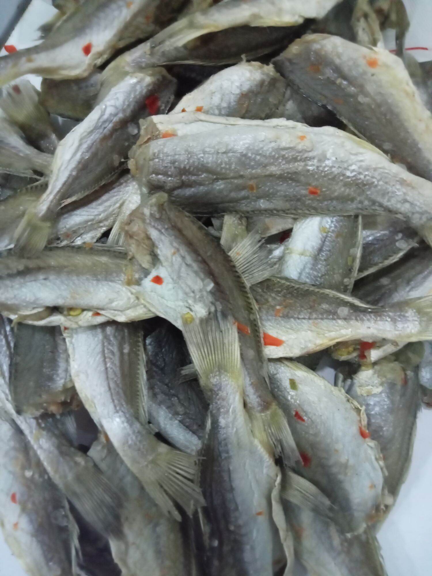 1 kg cá đù ớt khô ngon y hình