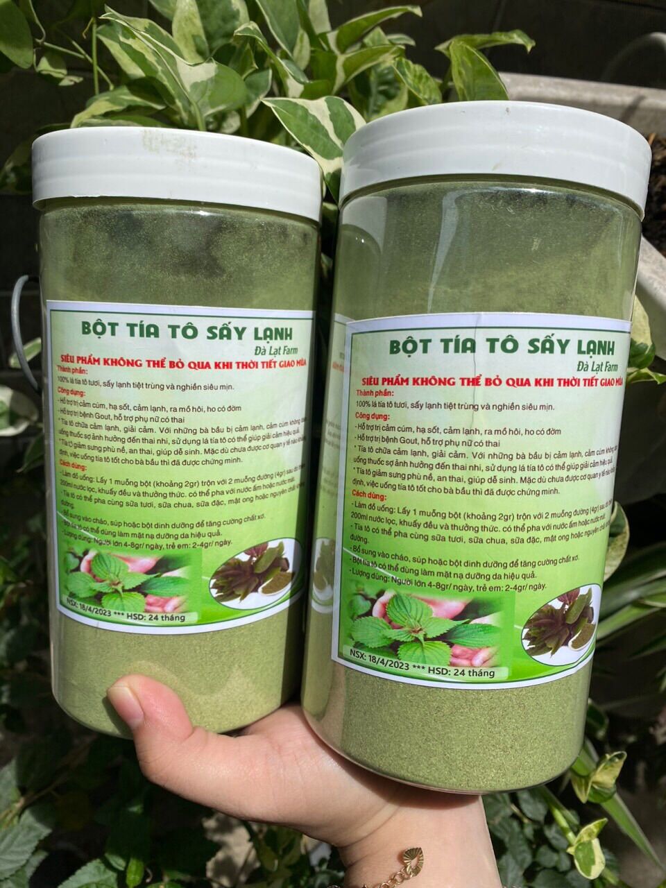 Bột rau má - bột cần tây - bột rau diếp cá - bột lá tía tô