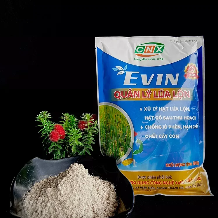 Quản lý lúa lộn Evin